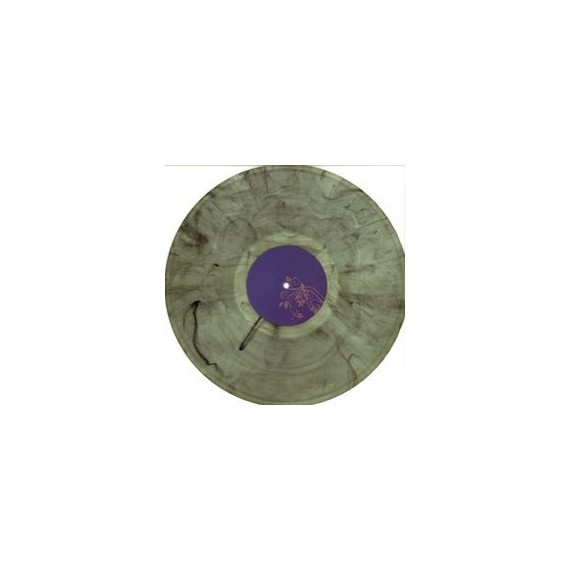 THE ANALOG ROLAND ORCHESTRA***RODEN CRATER VISION EP