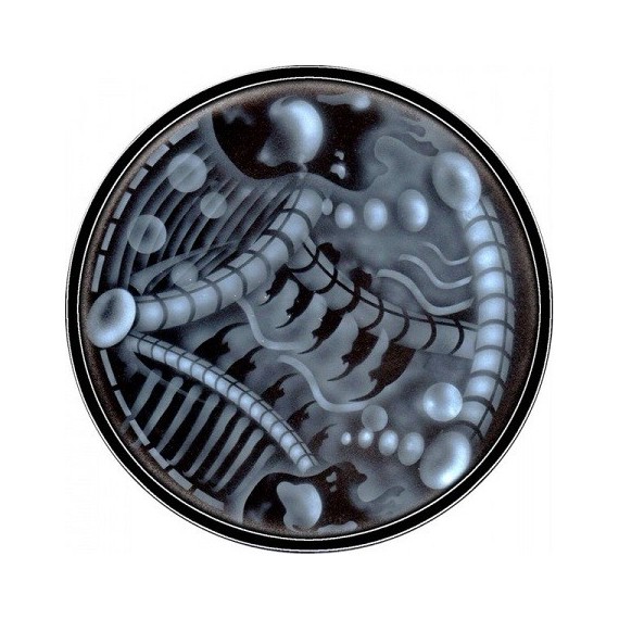 VARIOUS***INSURREKT 03