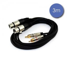 CABLES POWER ACOUSTICS XLR 3 PIN FEMELLE / RCA MALE