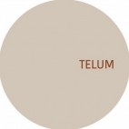 ARTIST UNKNOWN***TELUM 008