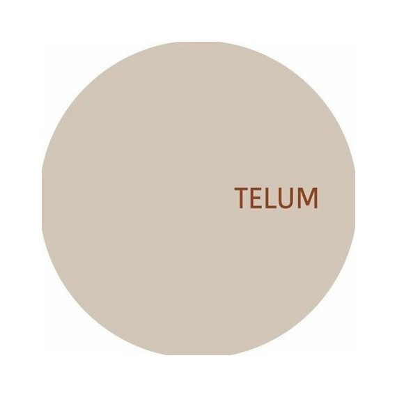 ARTIST UNKNOWN***TELUM 008