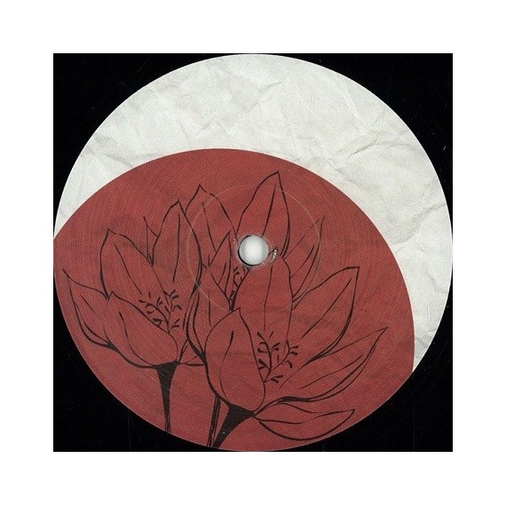 KIRIK***CROCUS 003