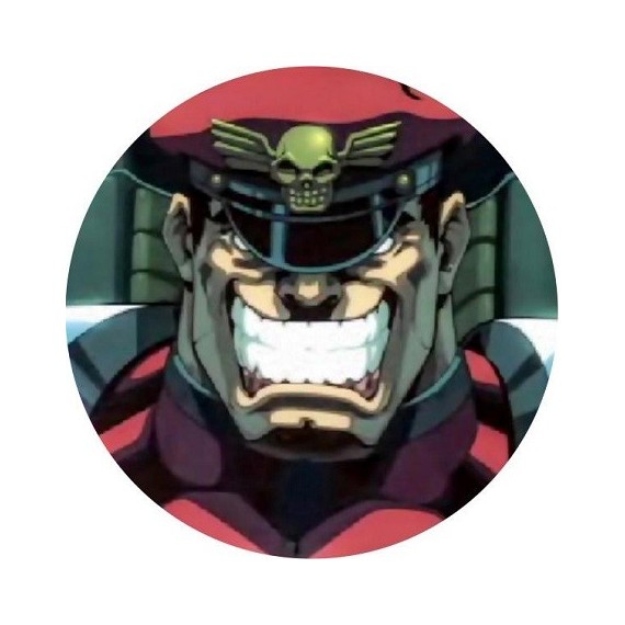 VANQUISHED***M BISON