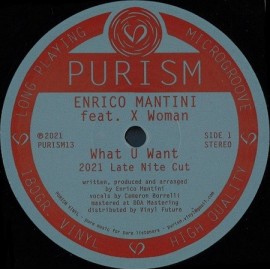 ENRICO MANTINI feat X WOMAN***WHAT YOU WANT