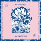 VARIOUS***PIV ADE SAMPLER 21