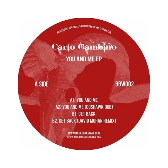 CARLO GAMBINO***YOU AND ME