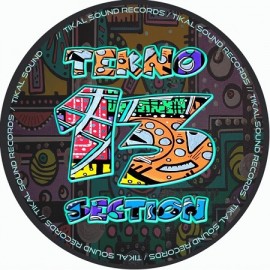VARIOUS***TEKNO SECTION 13