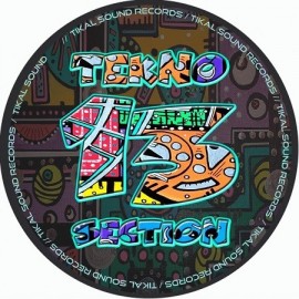 VARIOUS***TEKNO SECTION 13