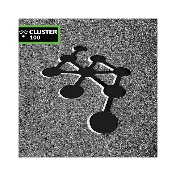 VARIOUS***CLUSTER 100