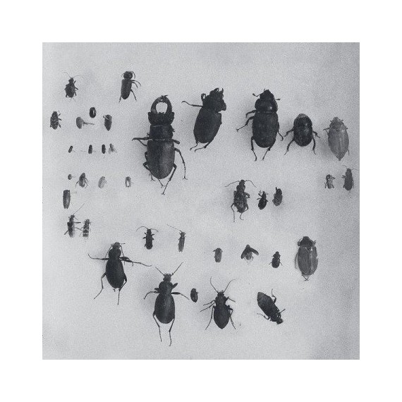 LEWIS FAUTZI***YOU CAN'T SLEEP ON THE SAME RISK TWICE EP