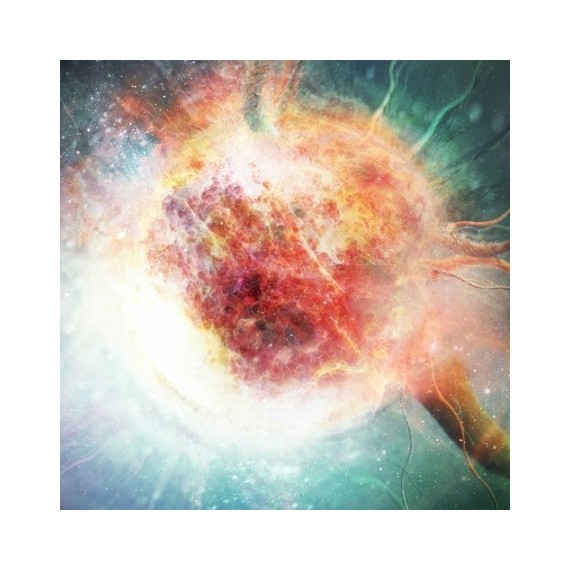 VARIOUS***MEDULLA