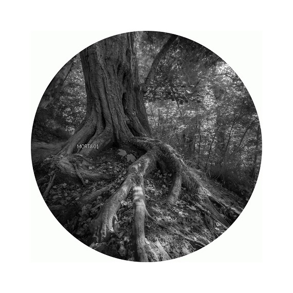 VIIKS***HUMAN DISGRACE EP