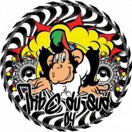 VARIOUS***TRIBE DU SUD 04