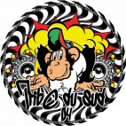 VARIOUS***TRIBE DU SUD 04