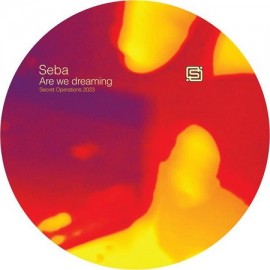 SEBA***ARE WE DREAMING ?