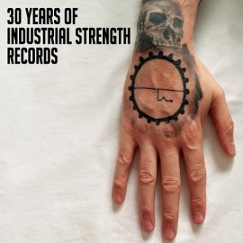 VARIOUS***30 YEARS OF INDUSTRIAL STRENGTH RECORDS