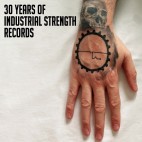 VARIOUS***30 YEARS OF INDUSTRIAL STRENGTH RECORDS