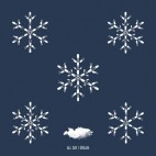 VARIOUS***A WINTER SAMPLER V