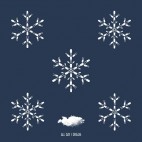 VARIOUS***A WINTER SAMPLER V