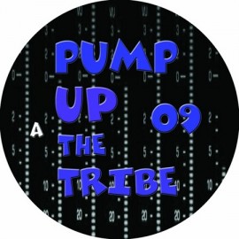 BIDULE TRACKS***PUMP UP THE TRIBE 09