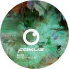 BCEE***WATER HOLE EP