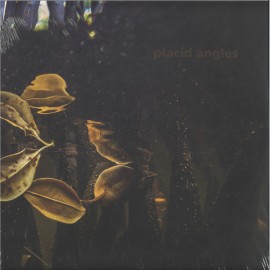 Placid Angles***Touch The Earth