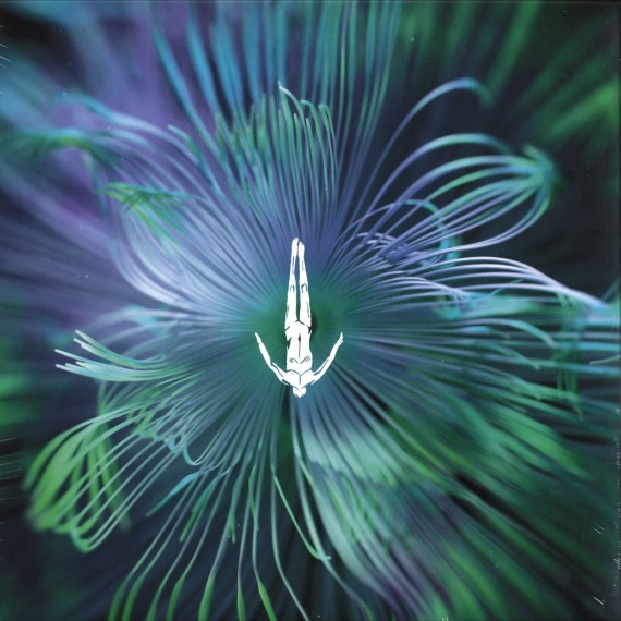 Five Phases - Innellea***Reflected Wisdom