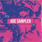 Various***PIV Sampler LP 2x12"