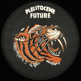 DJ Savage***Pleistocene Future 6