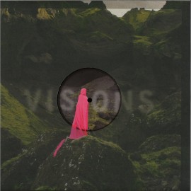 Various***Visions 01