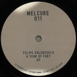 Felipe Valenzuela***A Year Of Fury EP
