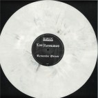 Los Hermanos***Remember Detroit