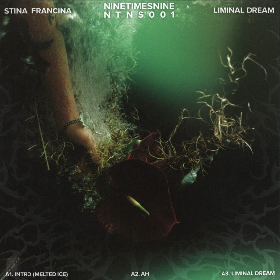 Stina Francina***Liminal Dream