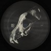 Oxygeno***Body Of Divinity EP