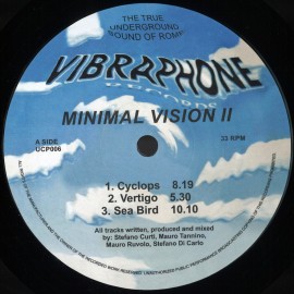 Minimal Vision***Minimal Vision II