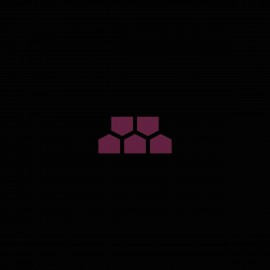 Zisko***Speak Your Truth EP