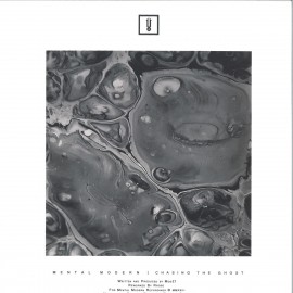 Mod21***Chasing The Ghost EP