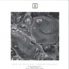Mod21***Chasing The Ghost EP