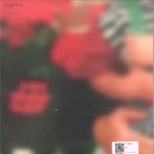 taschendrachen & gustav krach***engörn 02