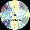 Ethereal Logic***Intergalactic World Music Remixed
