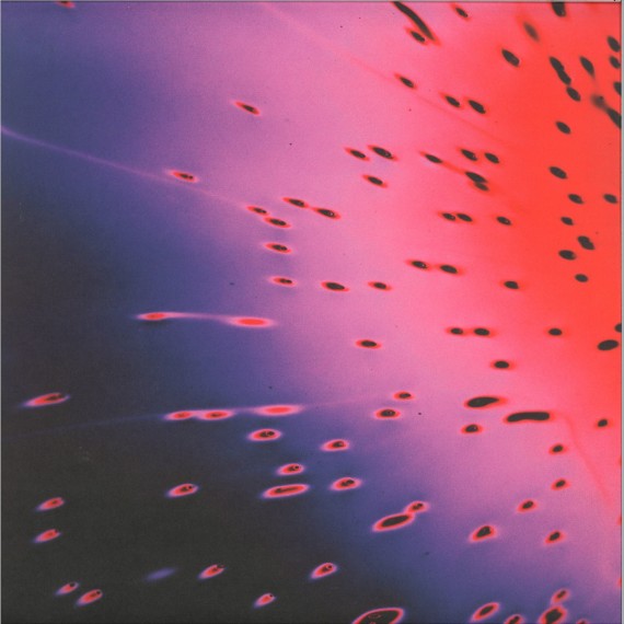 Yan Cook***XXXLP 2x12"
