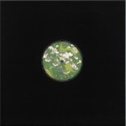 SLV***Surfacing EP