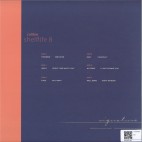 Calibre***Shelflife 8 (3x12")