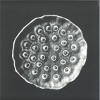 747***Deep Space Opera EP