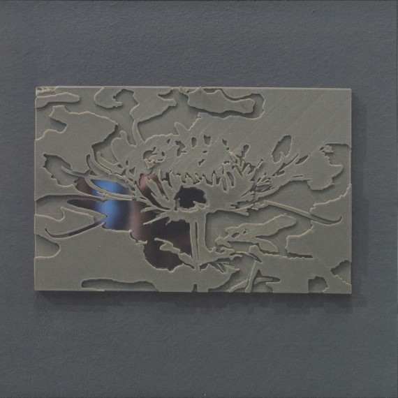 Ignez***SMV011