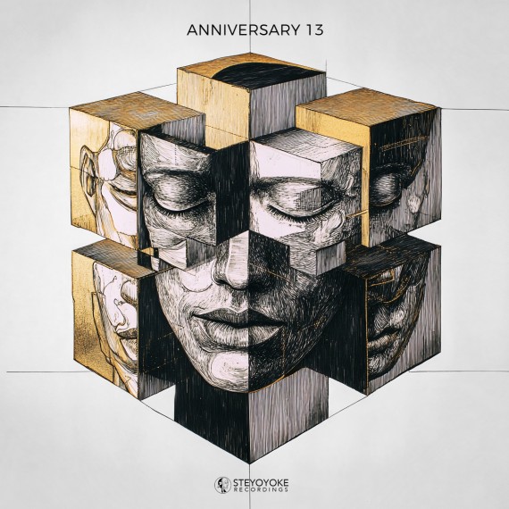 Various***SYYK270 2x12"